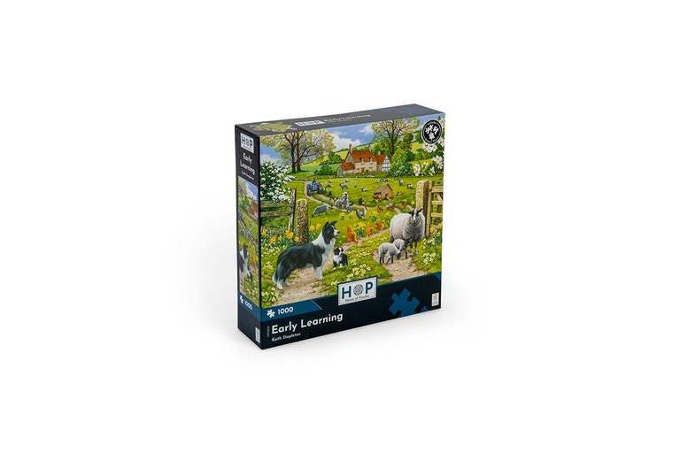 Early Learning - 1000 pc