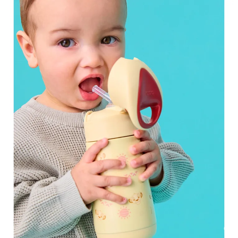 350ml Insulated Drink Bottle - The Lion King
