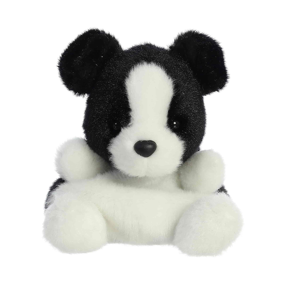 Brody Collie