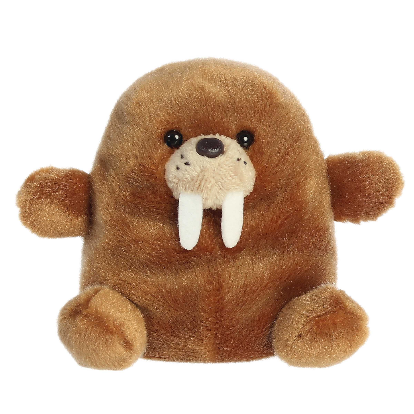 Waldo Walrus