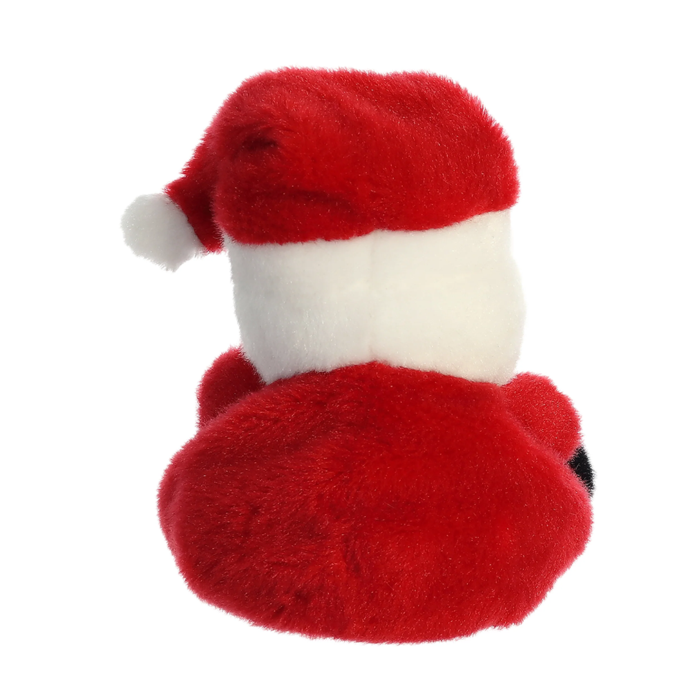 Santa Claus