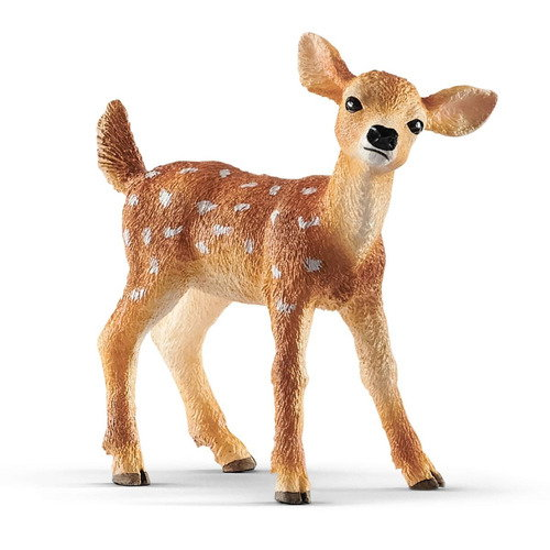 White Tail Fawn