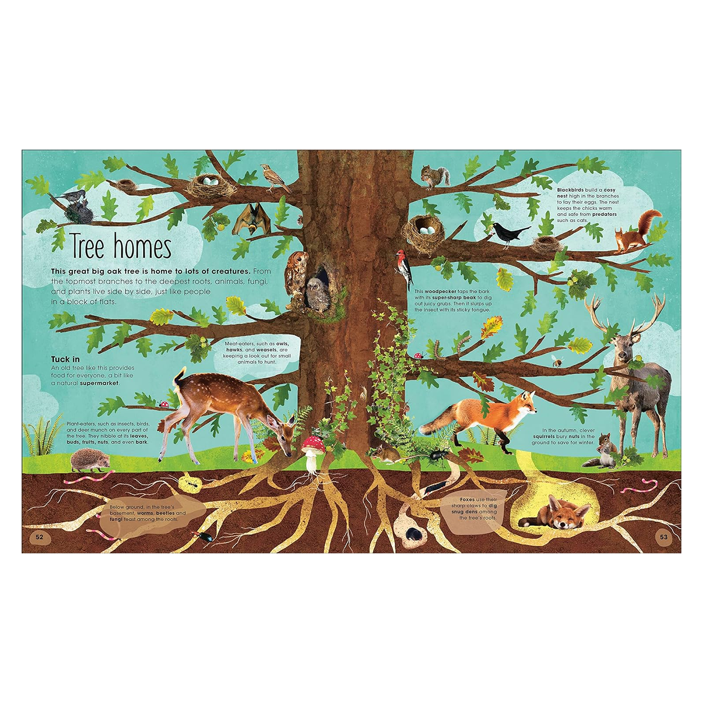 The Magic & Mystery of Trees