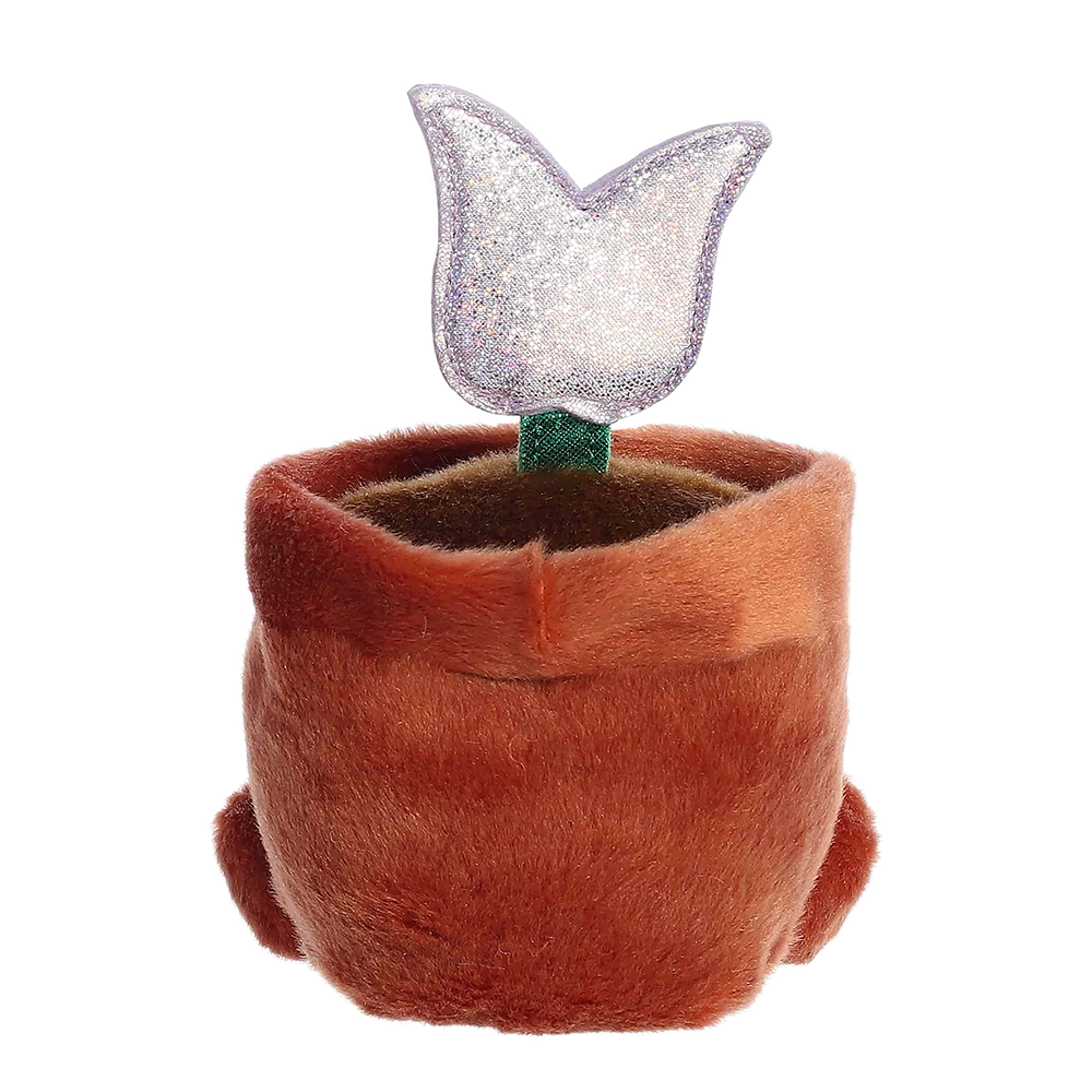 Holland Potted Tulip