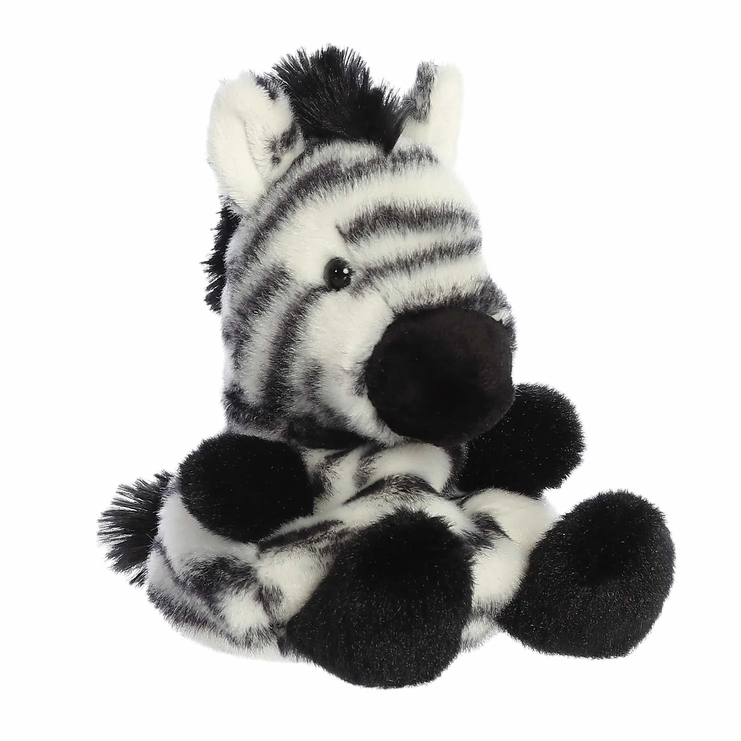Grevy Zebra