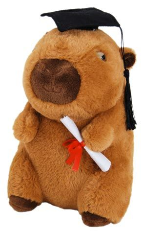 Capybara Graduation 23cm
