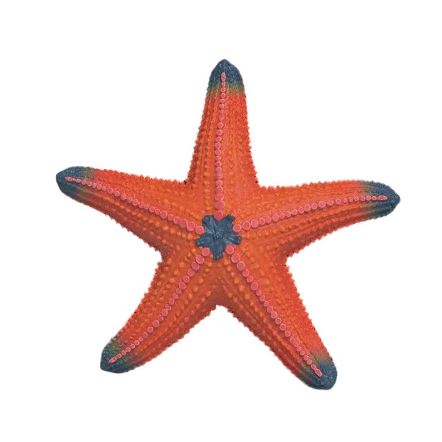 Colour-changing Starfish