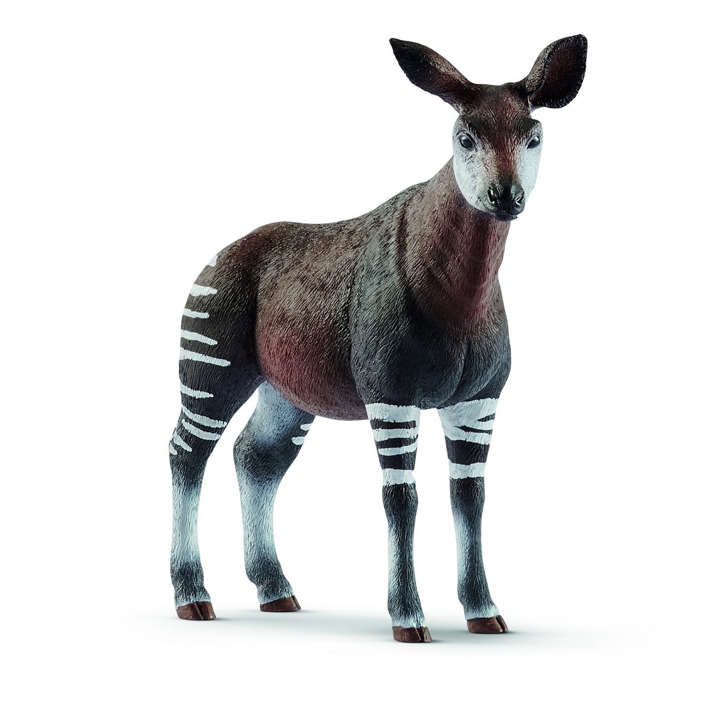 Okapi