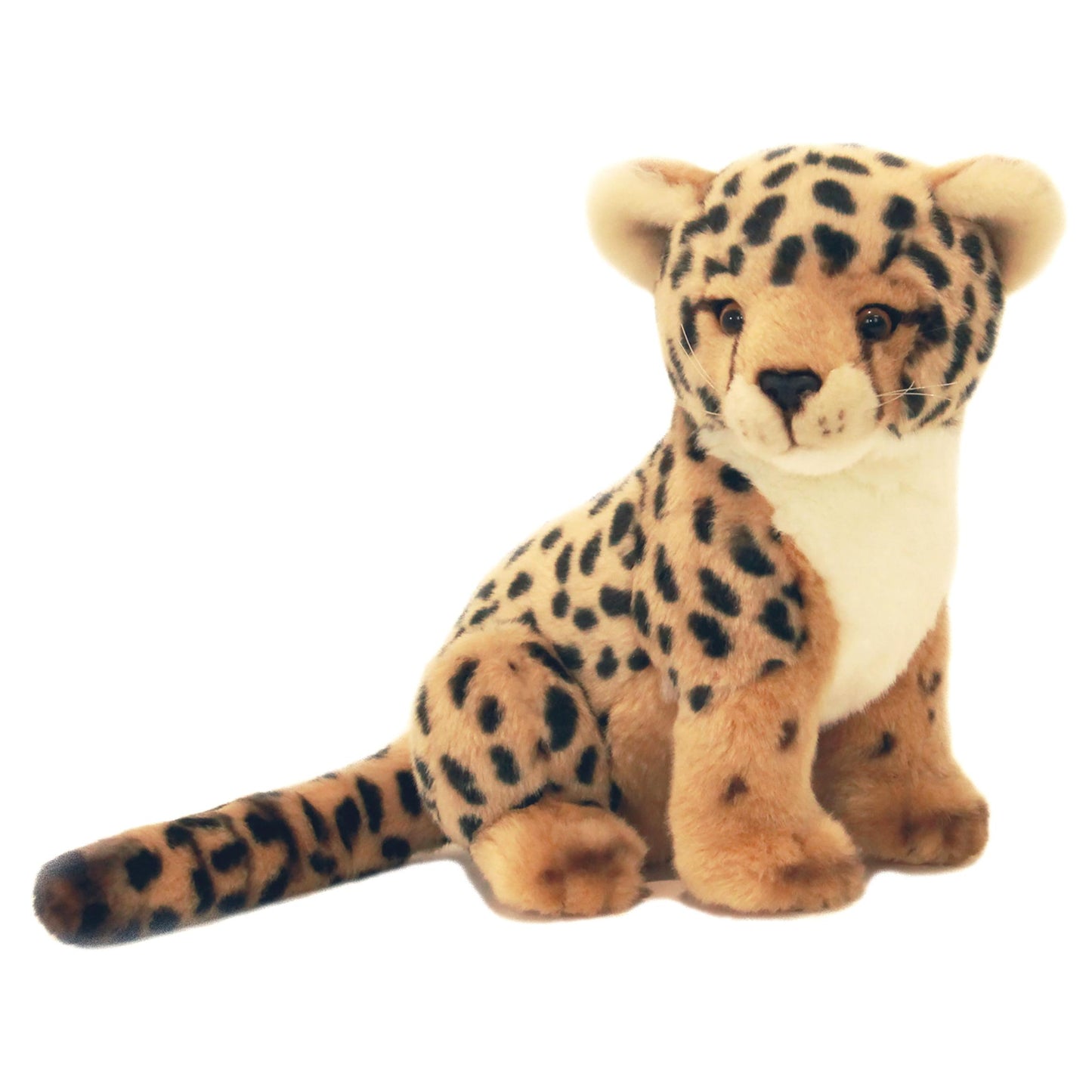 Calypso Cheetah Cub