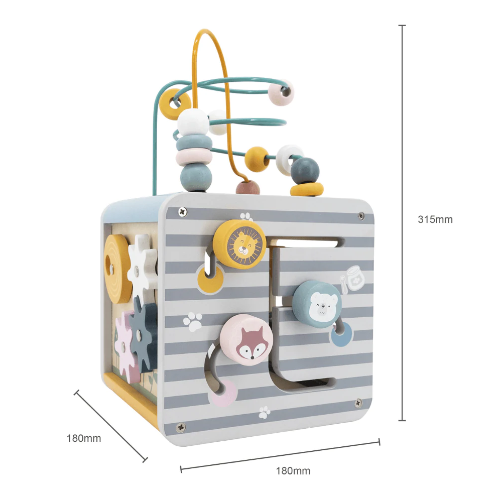 5-in-1 Activity Box