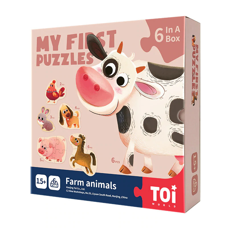 My First Puzzles - 6 In A Box
