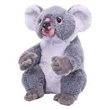 Artist Collection - Koala