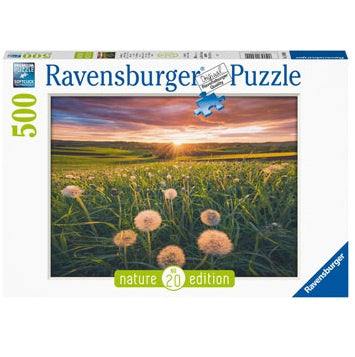 500 pc Puzzle - Dandelions At Sunset