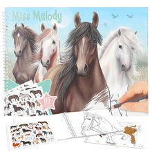 Miss Melody Colour Horse