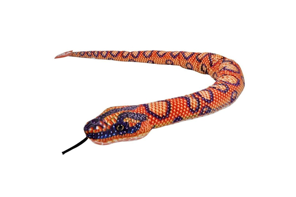 Rainbow Boa Scales Snakess
