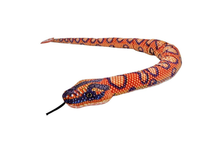 Rainbow Boa Scales Snakess