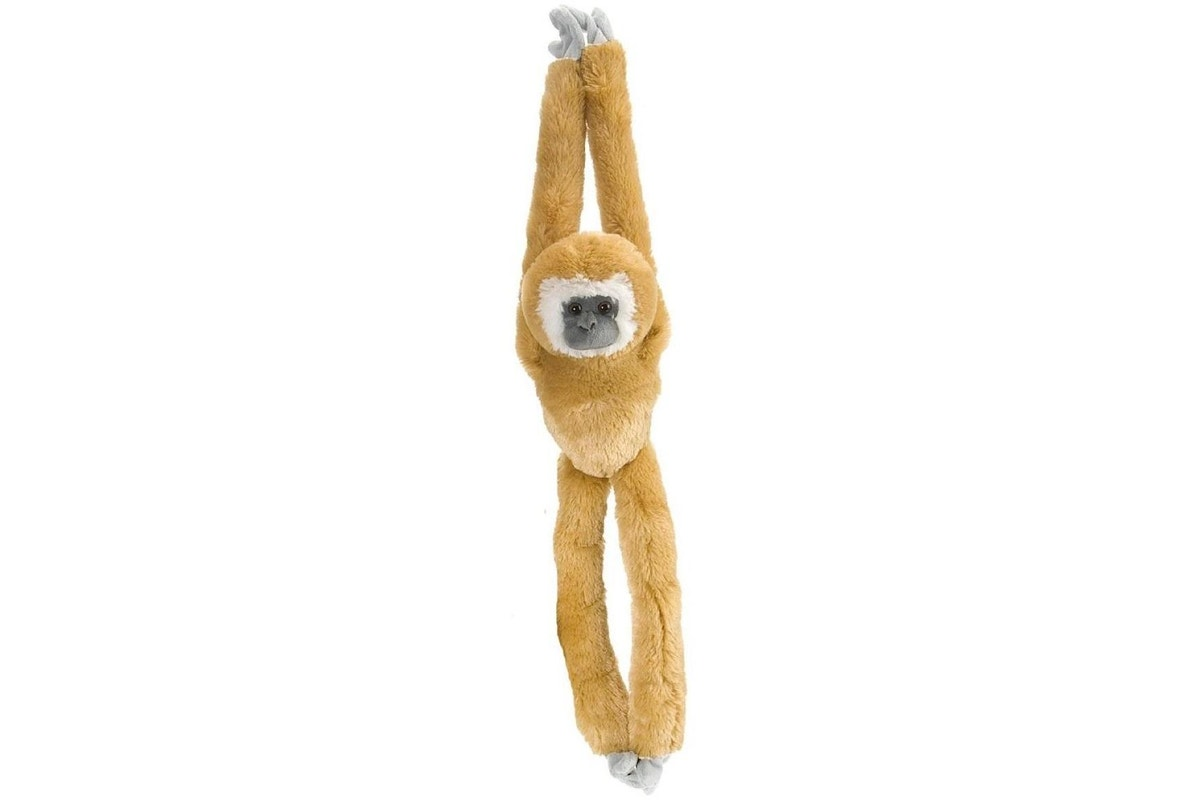 Hanging White Handed Gibbon