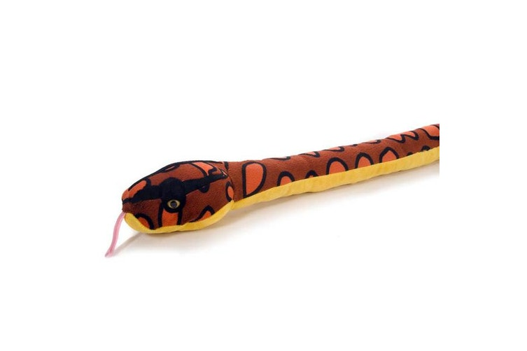 Rainbow Boa