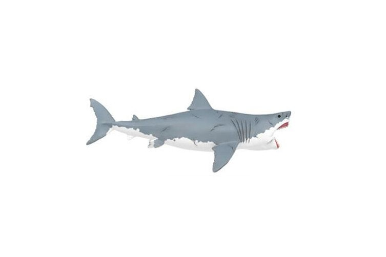 Megalodon