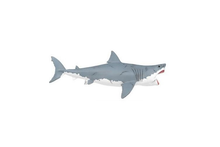Megalodon