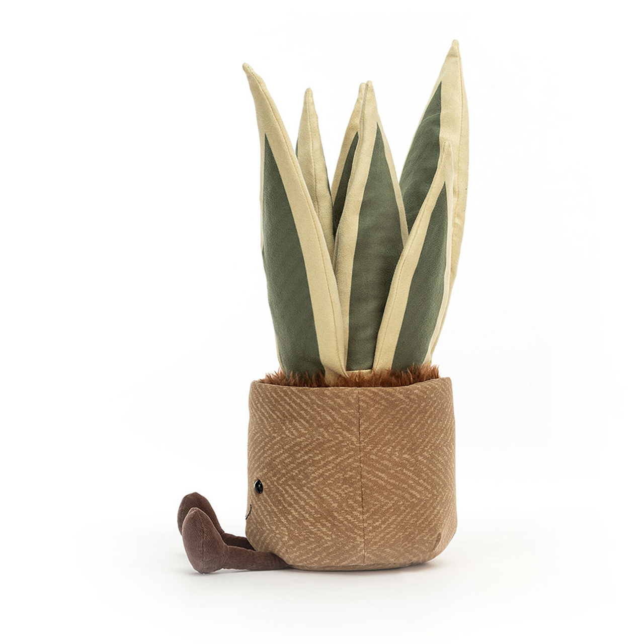 Amuseables Snake Plant