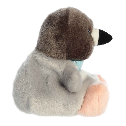 Crumbs Pigeon