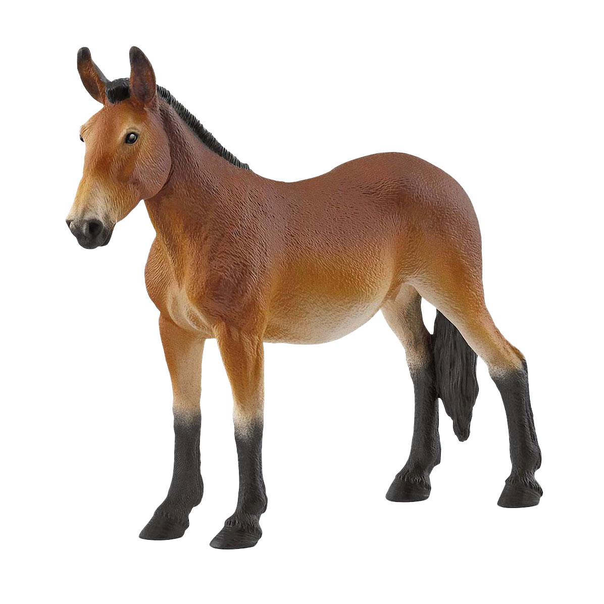 Maultier Mule
