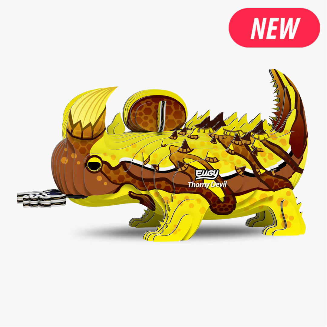 3D Cardboard Model Kit - Thorny Devil