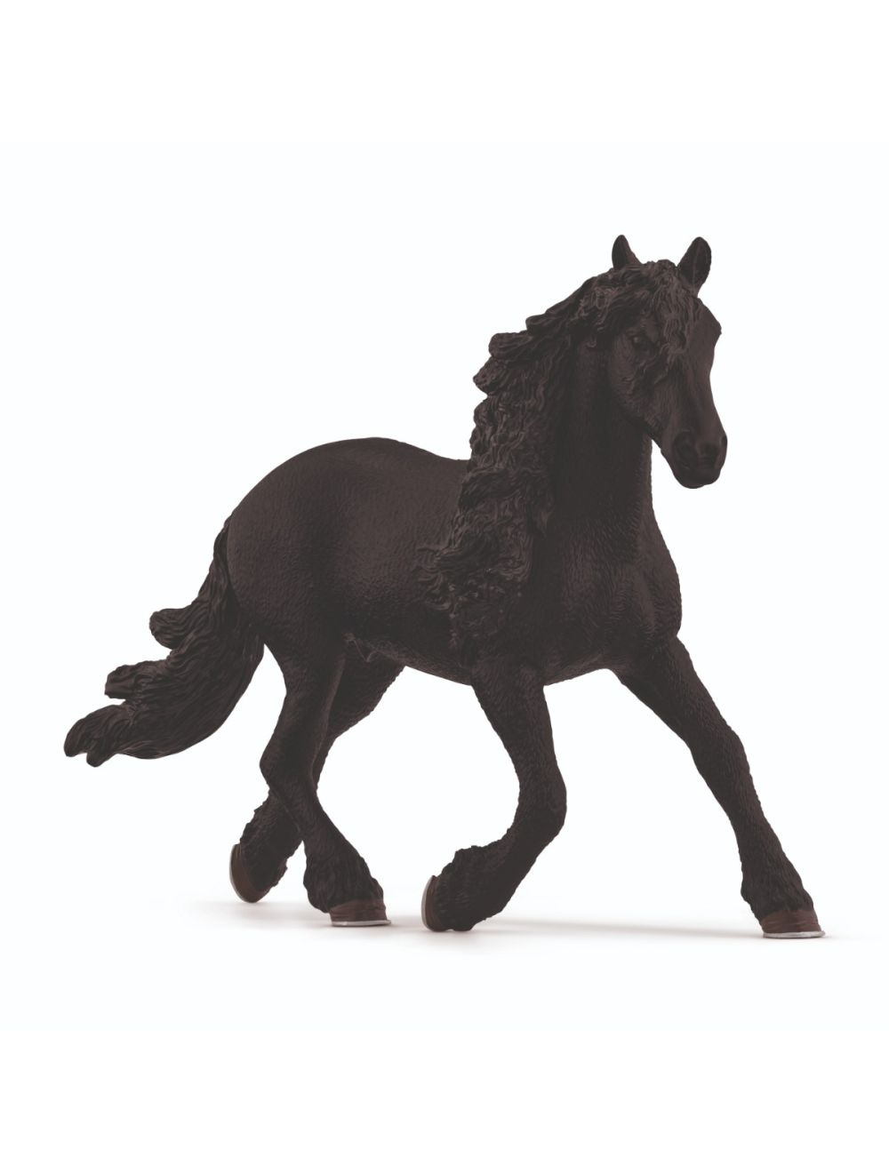 Friesian Stallion