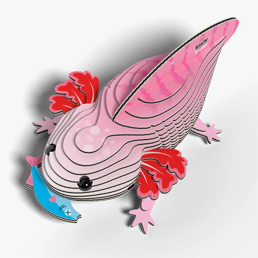 3D Cardboard Model Kit - Axolotl