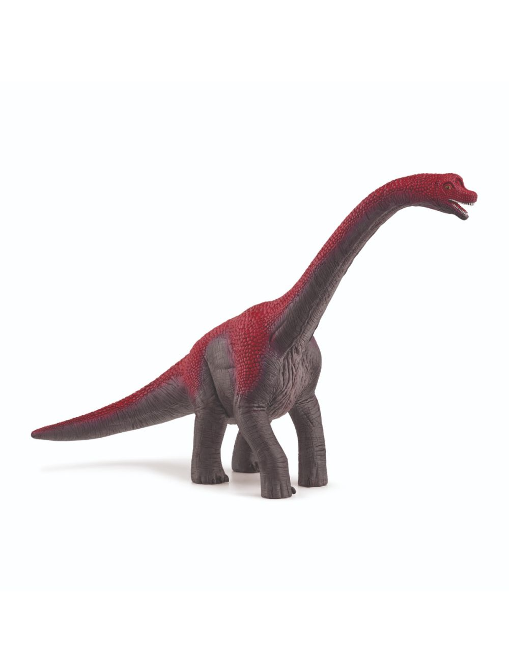 Brachiosaurus Red