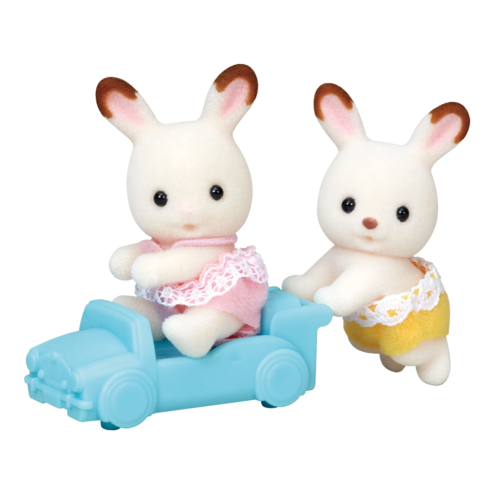 Chocolate Rabbit Twins