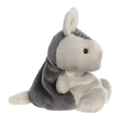 Antonia Armadillo