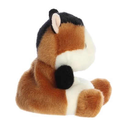 Nutmeg Guinea Pig
