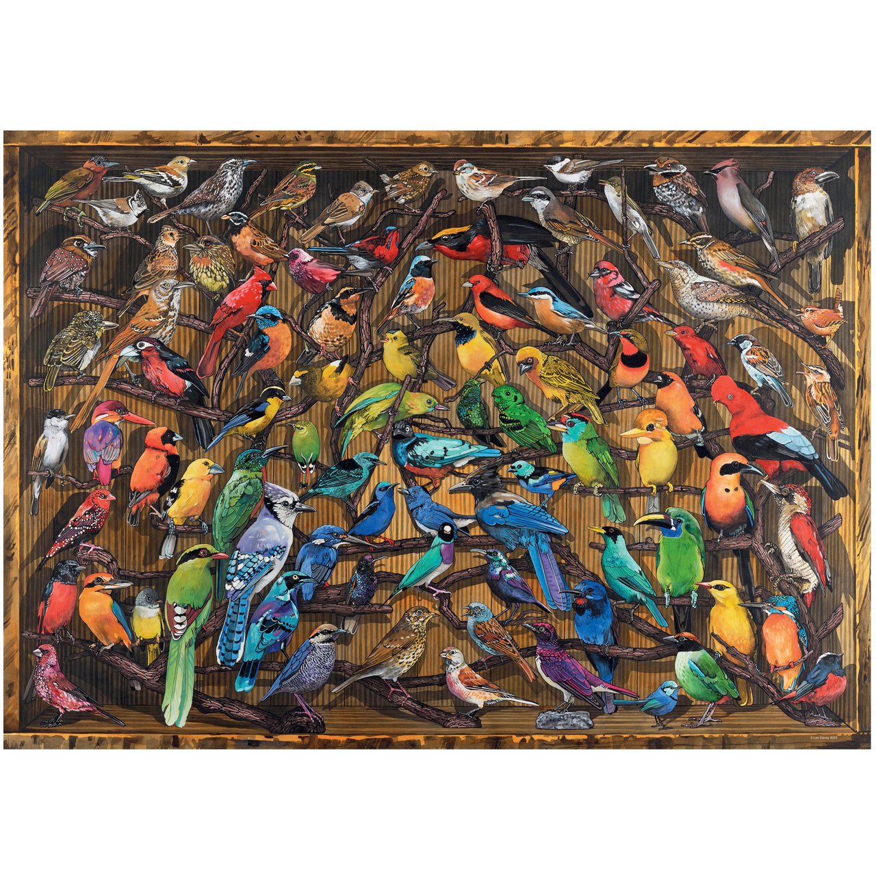 1000 pc Puzzle - Rainbow of Birds