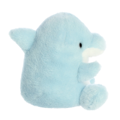 Clicks Dolphin