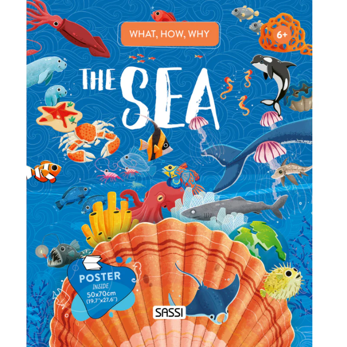 What, How and Why Book and Poster - The Sea