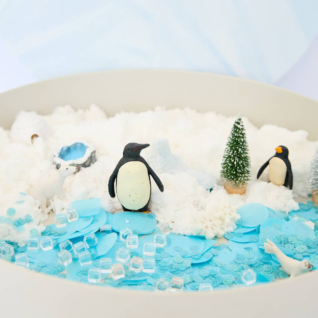 Sensory Tray Play Bundle - Arctic Adventure