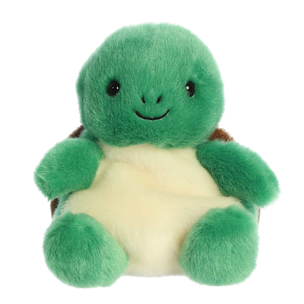 Honu Sea Turtle