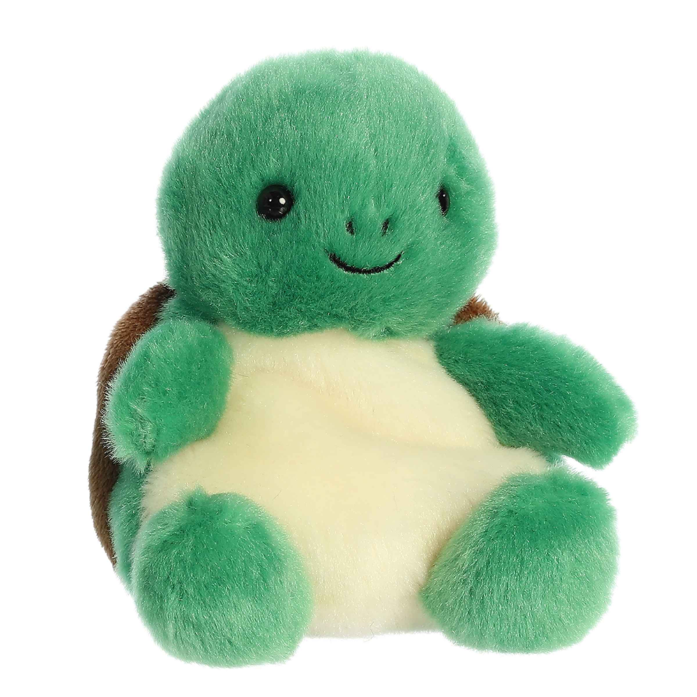 Honu Sea Turtle