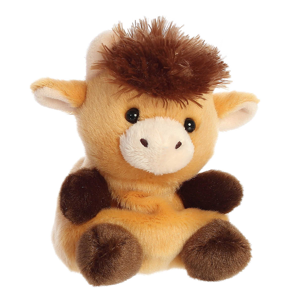 Hubert Highland Cow