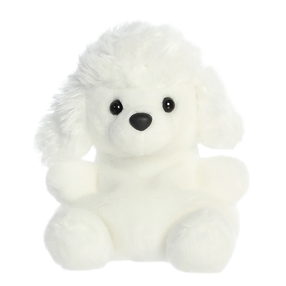 Lulu Poodle