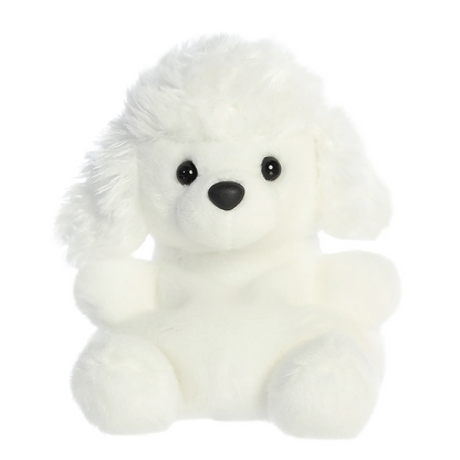 Lulu Poodle
