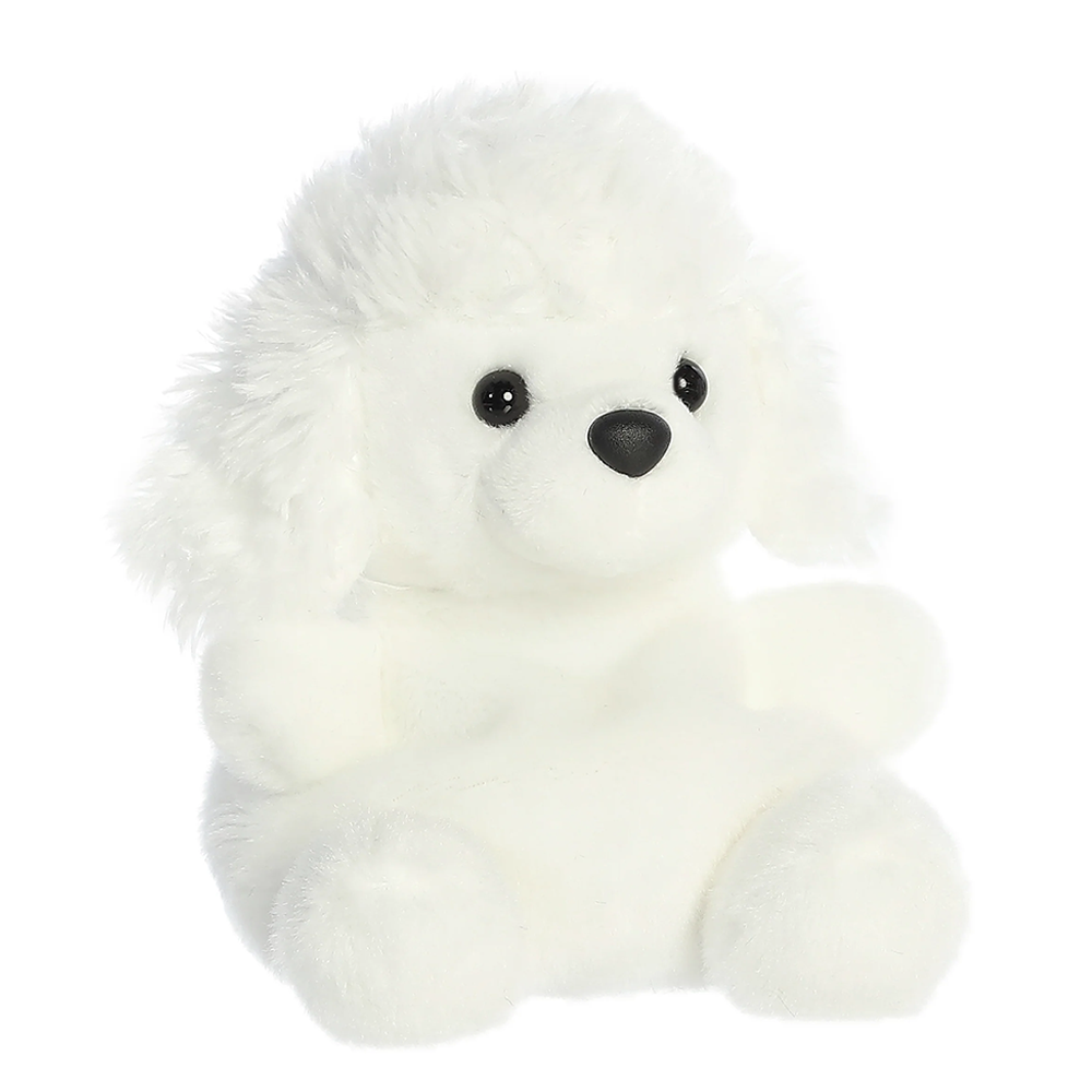 Lulu Poodle