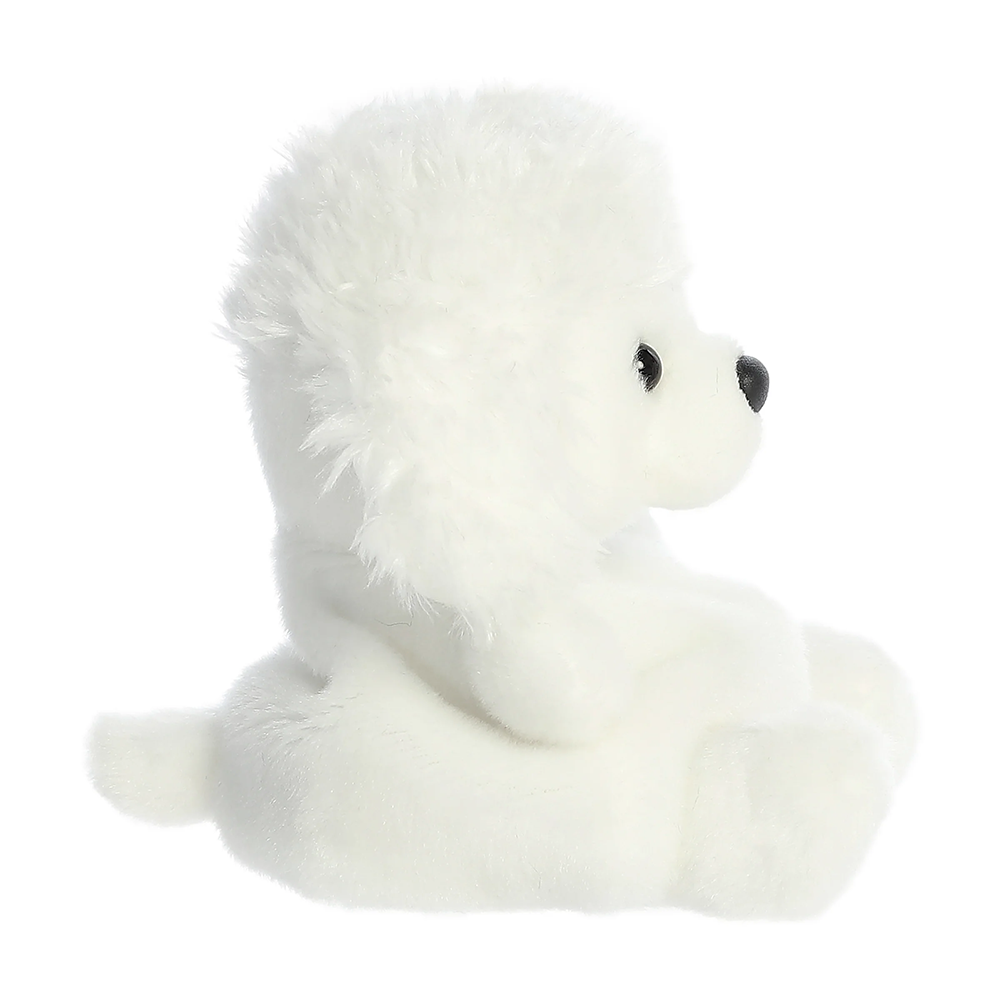 Lulu Poodle