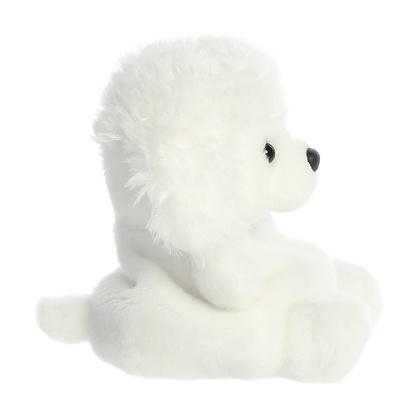 Lulu Poodle