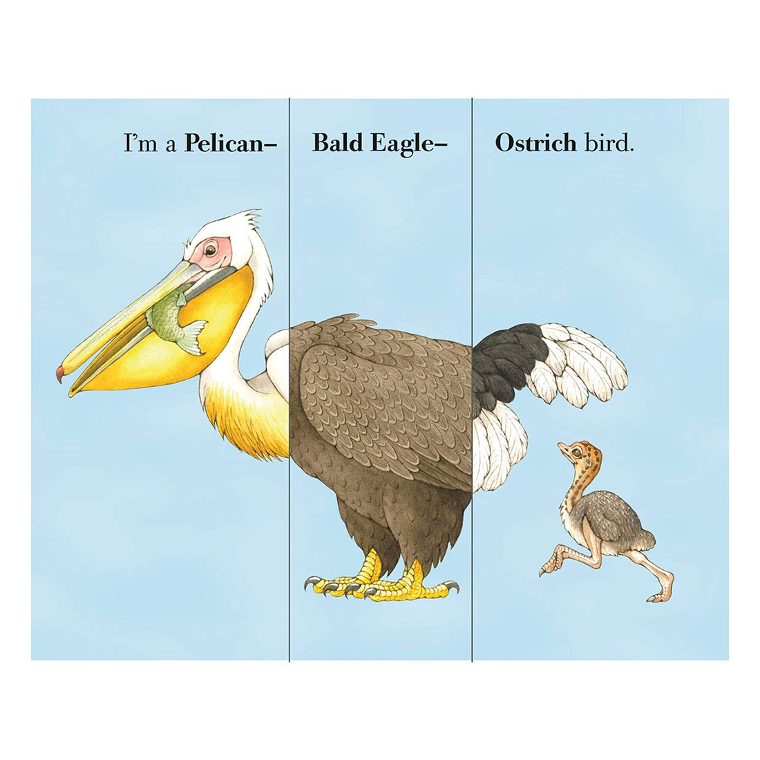 Flip-A-Feather