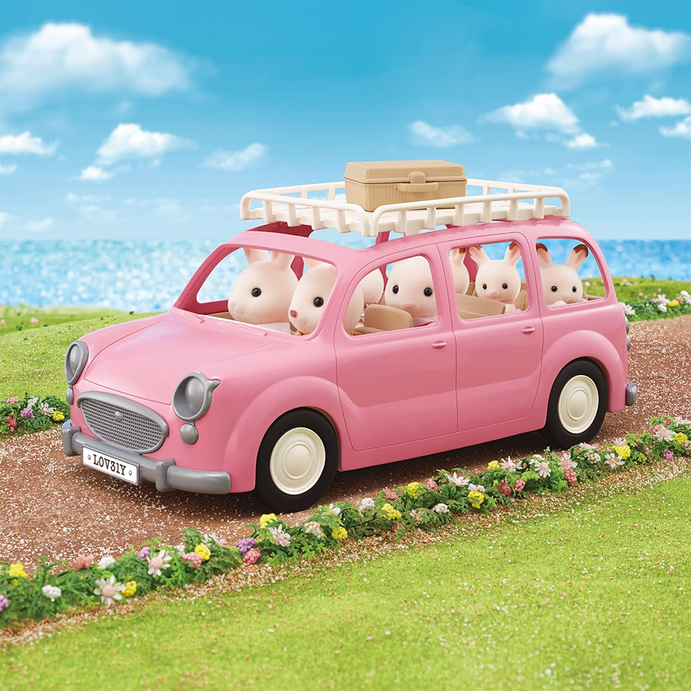 Family Picnic Van