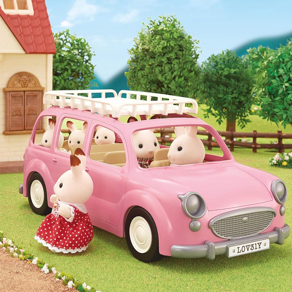 Family Picnic Van