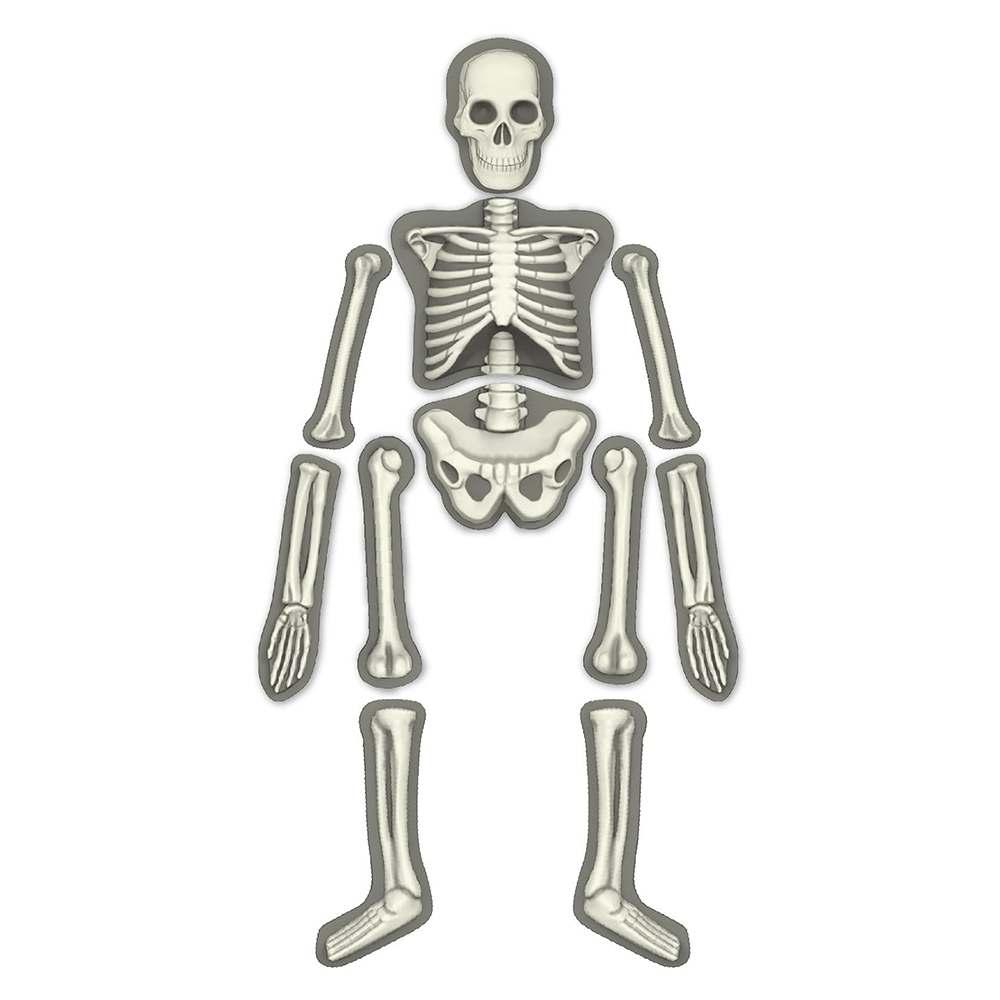 KidzLabs - Glow Human Skeleton